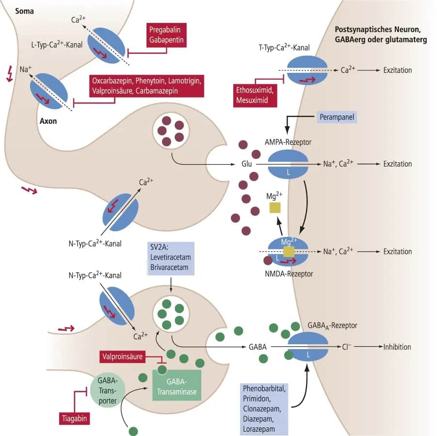 Epilepsie Medikamente: Wirksamkeit, Nebenwirkungen und Behandlungsmöglichkeiten
