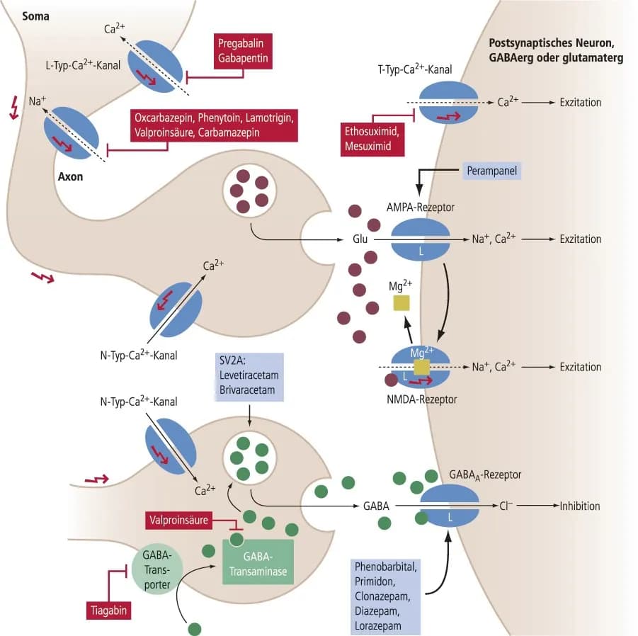 Epilepsie Medikamente: Wirksamkeit, Nebenwirkungen und Behandlungsmöglichkeiten