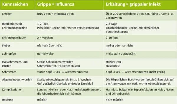Influenza Symptome bei Erwachsenen: So erkennen Sie die Krankheit schnell