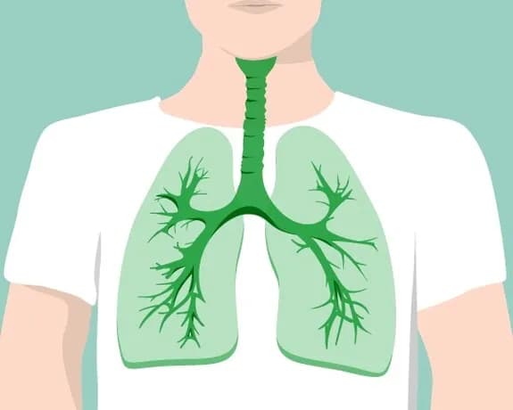 Symptome Bronchitis: So erkennen Sie die Anzeichen rechtzeitig