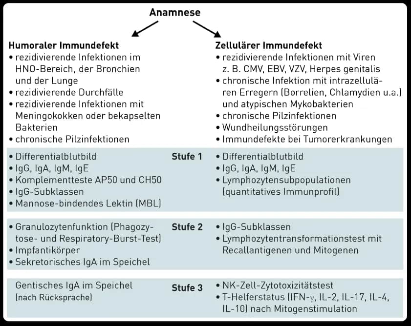Die wichtige Rolle der Immundefekt Diagnostik im Gesundheitswesen
