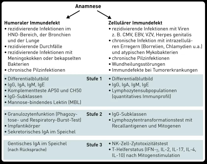 Die wichtige Rolle der Immundefekt Diagnostik im Gesundheitswesen