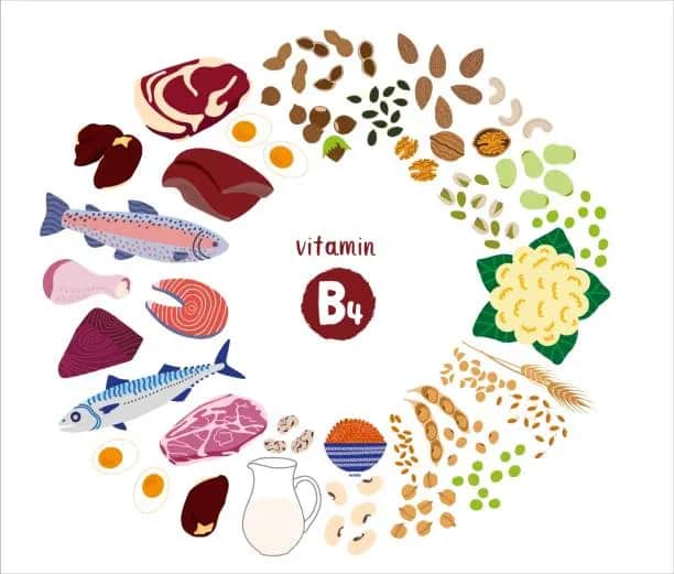 Vitamin B4: Wichtige Informationen über Mangel, Vorteile und Quellen