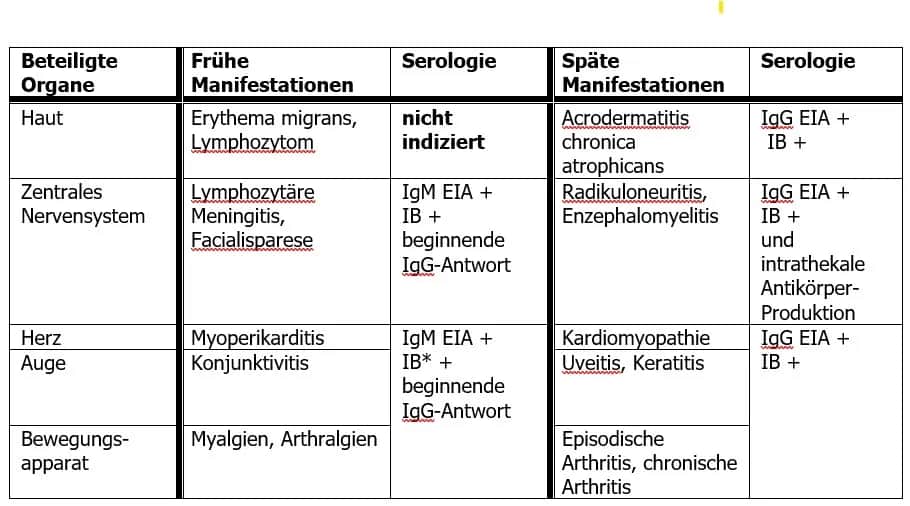 Borrelien Blutuntersuchung: Wichtige Informationen zur Diagnose von Lyme-Borreliose