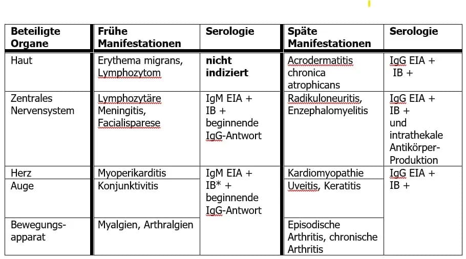 Borrelien Blutuntersuchung: Wichtige Informationen zur Diagnose von Lyme-Borreliose