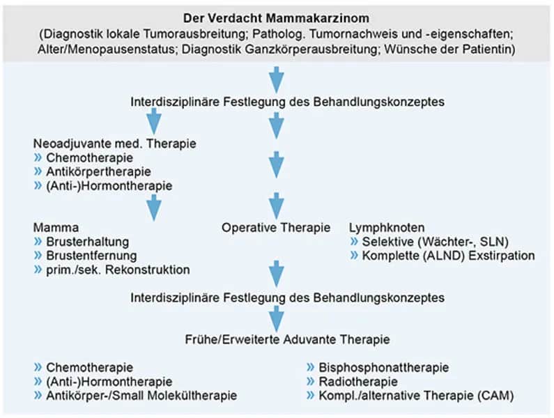 Mammakarzinom Diagnostik: Wichtige Verfahren und ihre Bedeutung für die Früherkennung