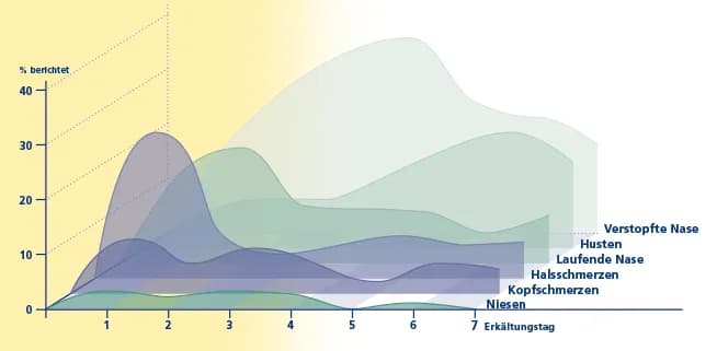 Symptome für eine Erkältung: So erkennen Sie die Anzeichen rechtzeitig